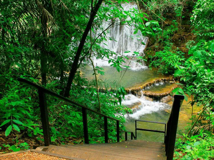 Cachoeira Do Jabuti/ Boca Da Onça