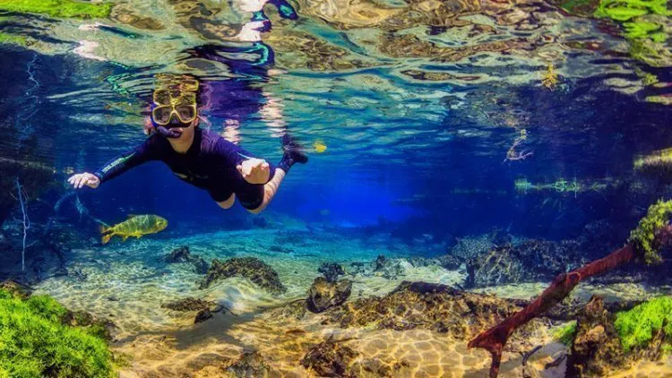 Flutuação Rio Da Prata   Acqua