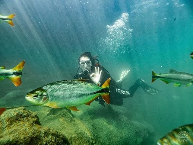 Megulho Rio Formoso