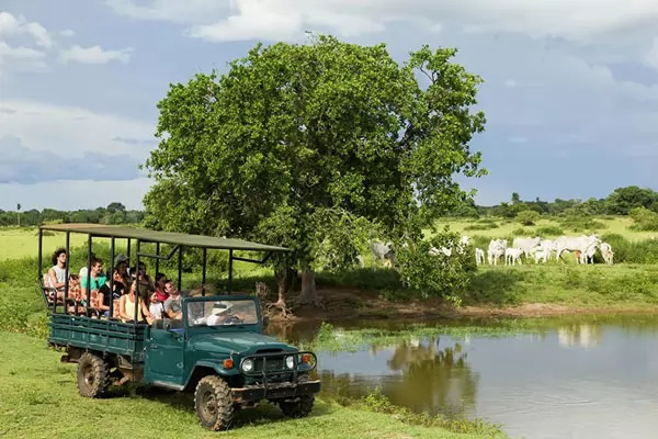 Fazenda Pequi Pantanal