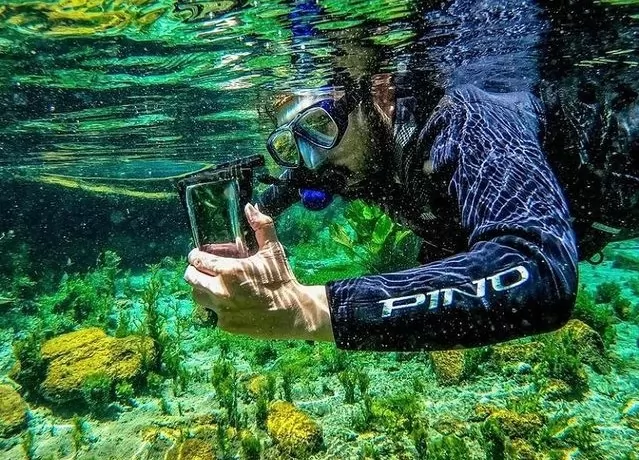 Nascente Azul  - Pontos Turísticos - Bonito MS / Acqua