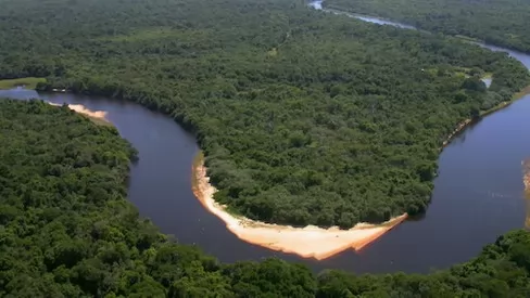Pantanal Rio Negro