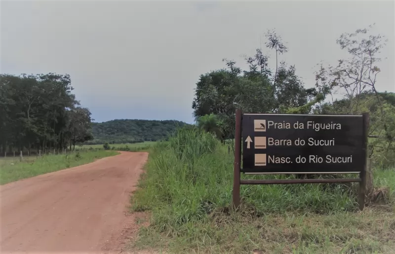 Estradas De Terra