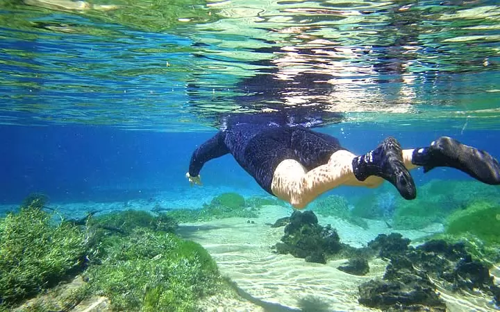 Flutuação Em Bonito Roupas De Neoprene