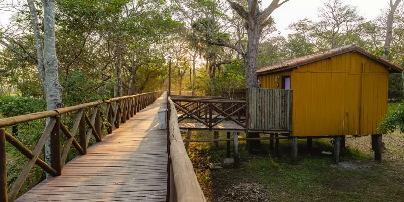 Pantanal Jungle Lodge 8