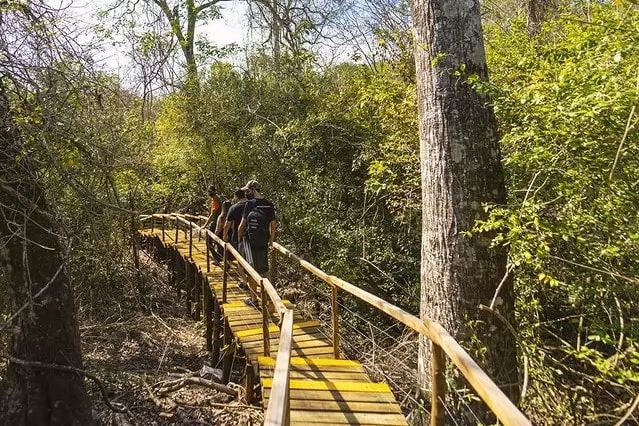 Turista percorrendo as passarelas e trilhas da atração