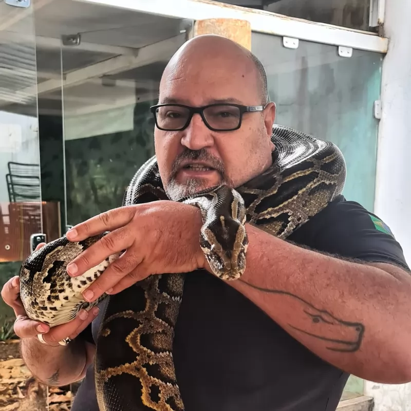 Henrique Naufal, Idealizador Do Projeto Jiboia