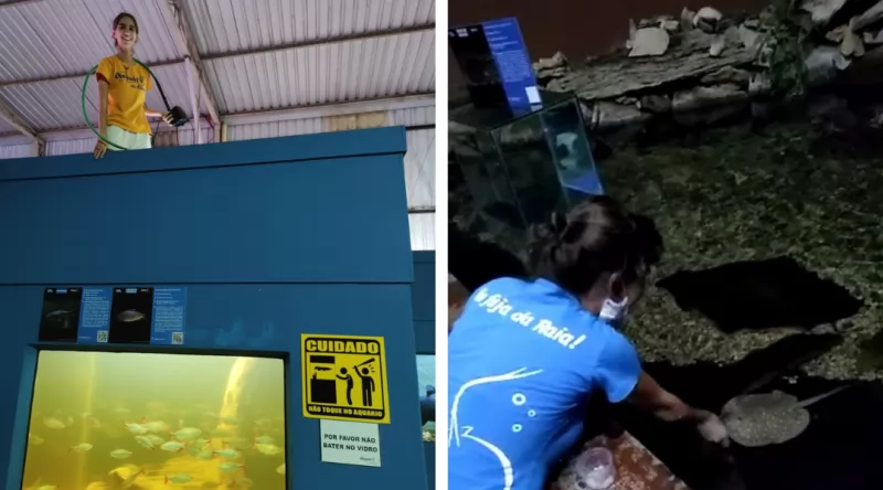 Aquario De Bonito Tratamento Bióloga Dia Do Biólogo 01