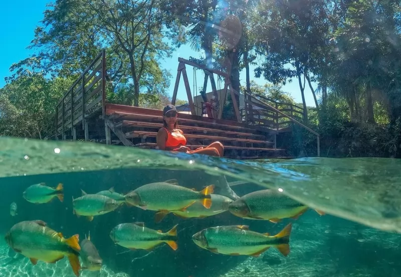 Bonito Ms Acqua Gopro Dome
