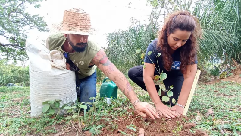 Dia da Árvore em Bonito -  Aquaviagens e Mil Pelo Planeta