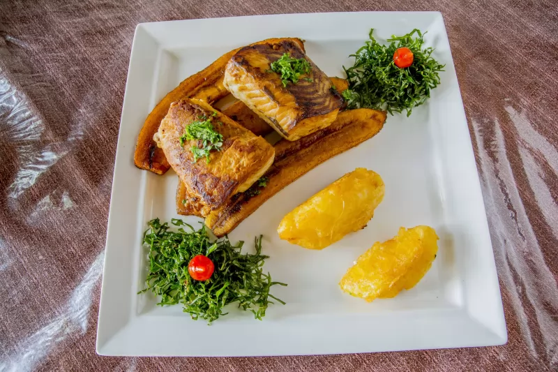 Prato com carne de jacaré