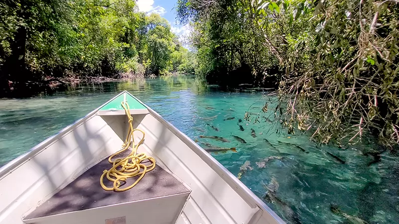 Praia Da Figueira Acqua Viagens Flutuaçao Rio Formoso
