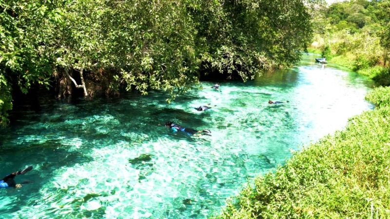 Taxa De Turismo Em Bonito Ms (1) Taxa De Turismo Em Bonito Ms (1)