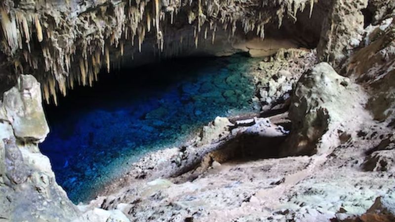 Taxa De Turismo Em Bonito Ms (2) Taxa De Turismo Em Bonito Ms (2)