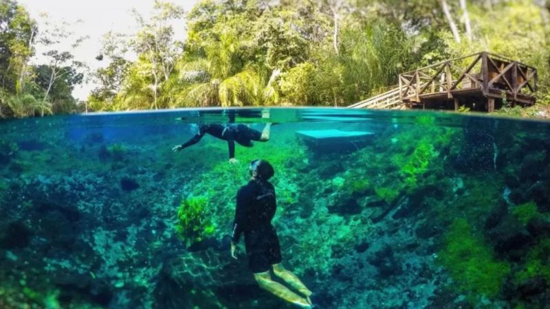 Bonito MS é Seguro (3)