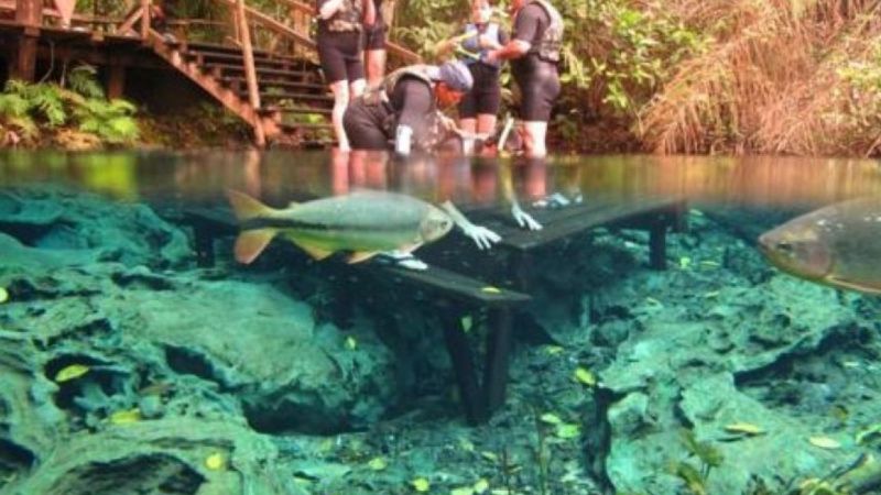 Como Funcionam As Agências De Turismo Em Bonito (2)