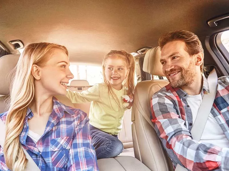 Viagem Para o Pantanal