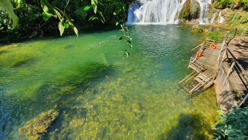 Bonito MS (2) Bonito MS (2)