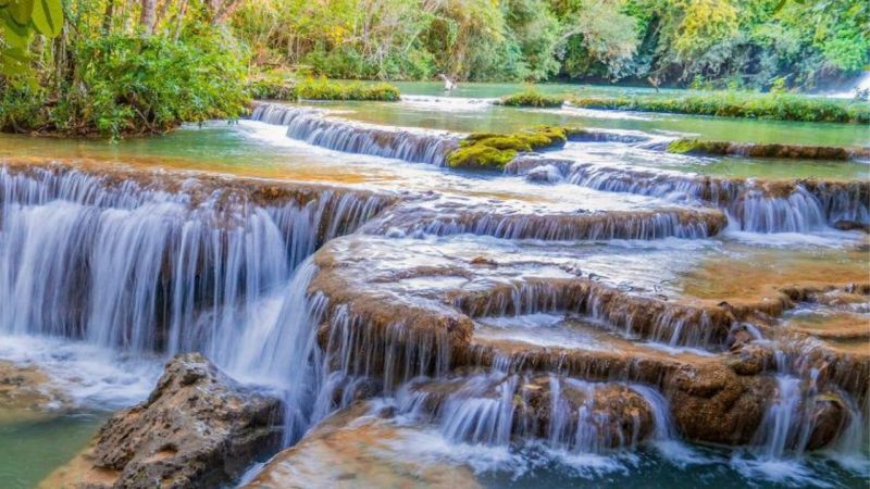 Bonito MS (3) Bonito MS (3)