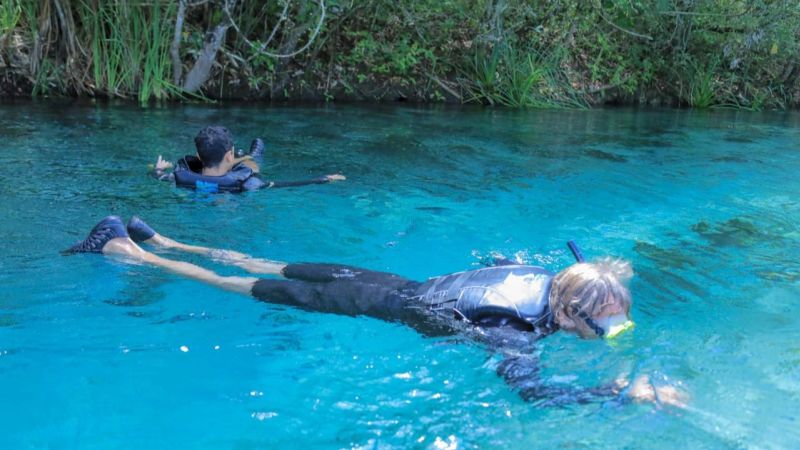 Bonito Ms (1) Bonito Ms (1)