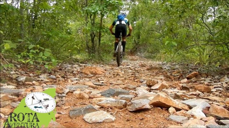 Bonito Ms (2) Bonito Ms (2)