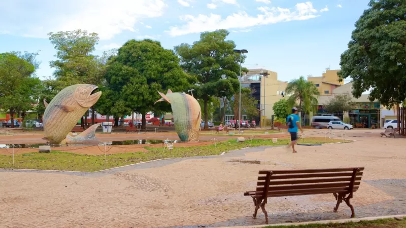 Bonito MS Com Bebê Praça
