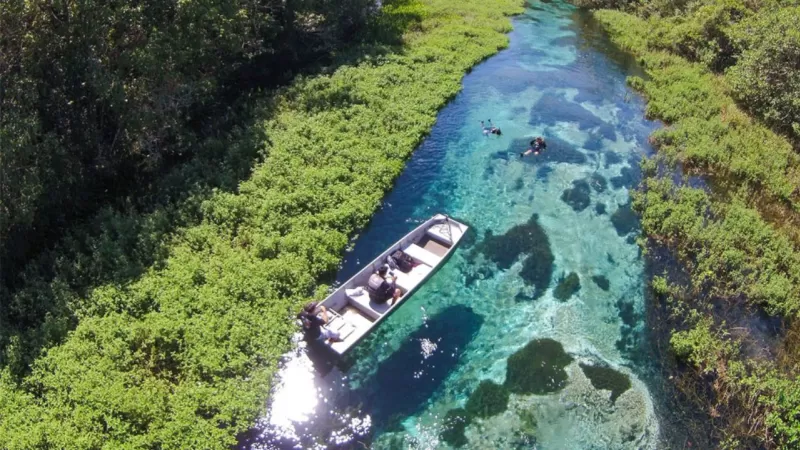 Quando Não Ir Para Bonito Rio