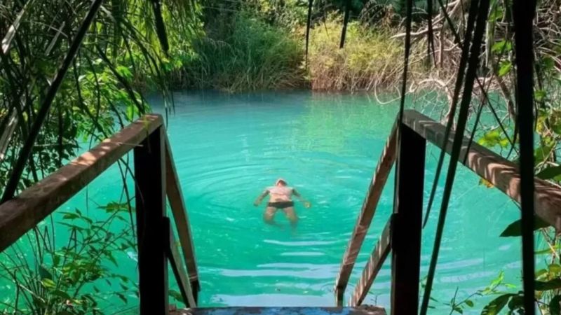 Bonito Em Março (1)