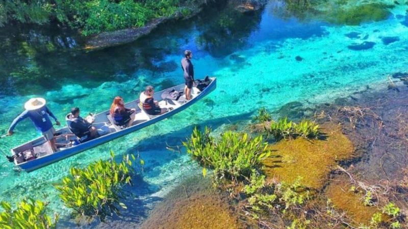 Bonito Em Março (2)