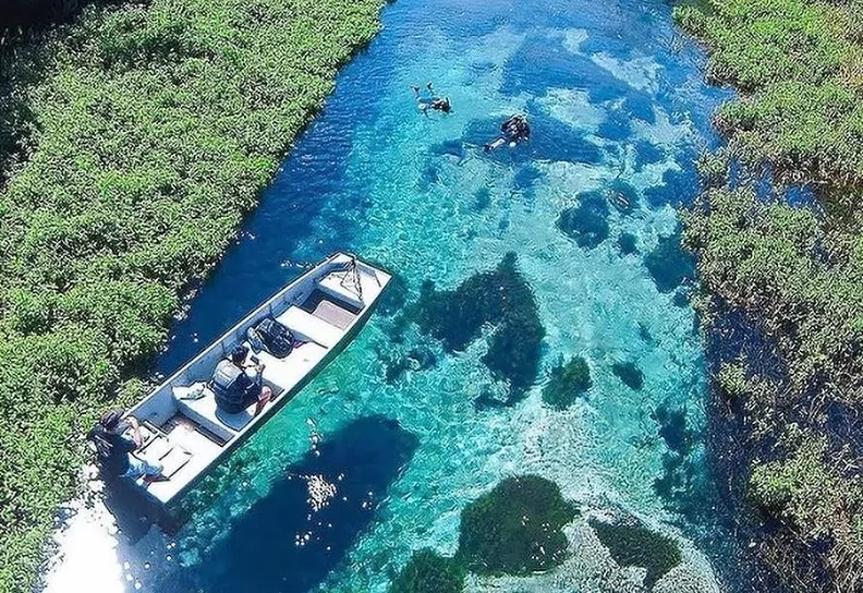 Rio Sucuri - Acqua Viagens - Bonito MS Rio Sucuri - Acqua Viagens - Bonito MS