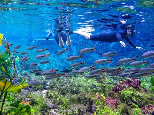  Flutuação com máscara e snorkel na Nascente Azul 
