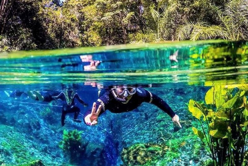 Nascente Azul Flutuaçao Em Bonito (2) Pacote de 3 dias em Bonito: Flutuação Nascente Azul