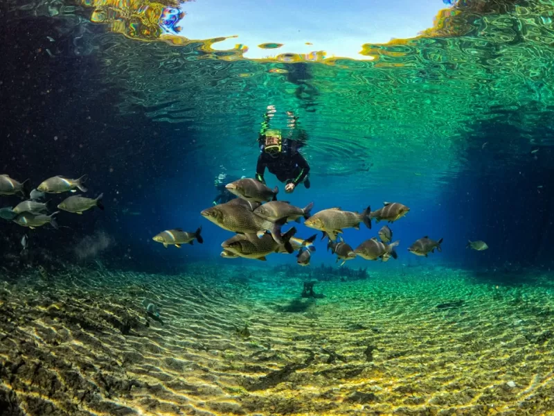Rio Da Prata Acqua 1