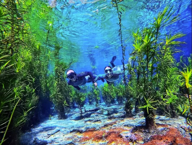 Pacote Adventure: Rio Azul Nascente