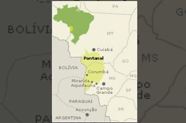 Região Do Pantanal No Brasil
