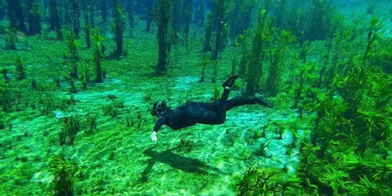 Nascentes Rio Azul em Bodoquena - Acqua Viagens