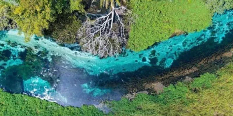 Passeio Rio Sucuri em Bonito MS - Acqua Viagens