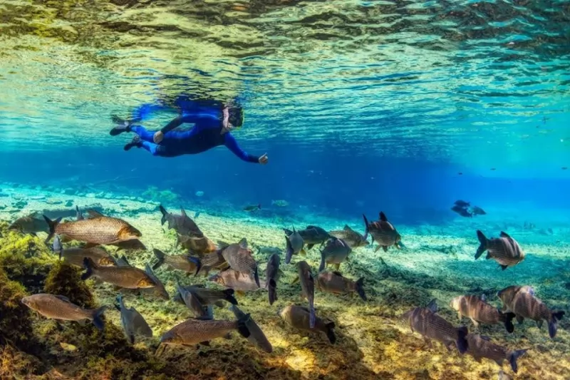 Flutuação Rio da Prata
