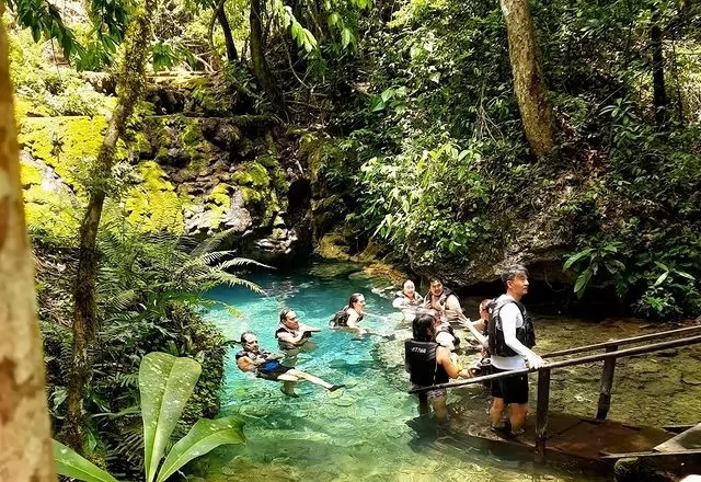 Visita Boca Da Onça