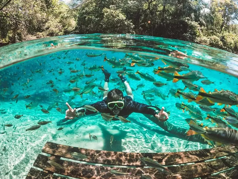 Rio Da Prata Foto Dome