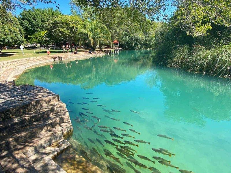 Balneário Municipal de Bonito - Acquaviagens