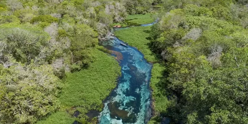 Rio Sucuri Flutuação Bonito Ms Acqua Viagens