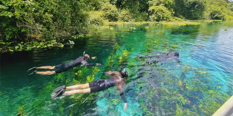 Flutuacao Rio Azul Nascentes Bonito Ms