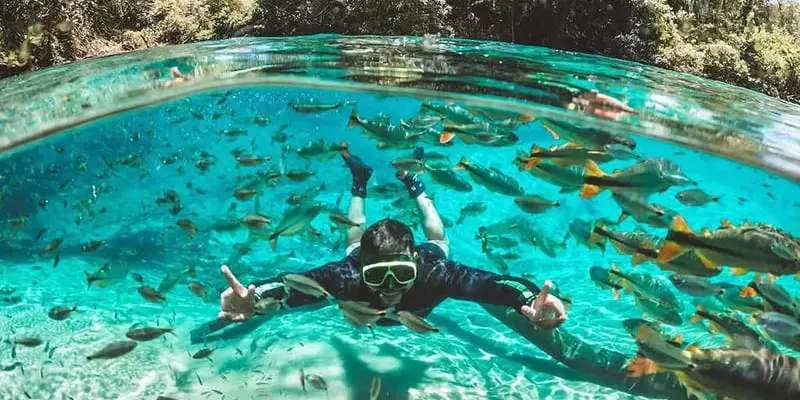 Rio Da Prata Jardim Ms Flutuacao