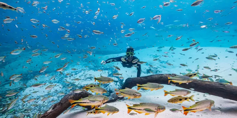 Flutuacao Rio Da Prata Bonito Ms Foto