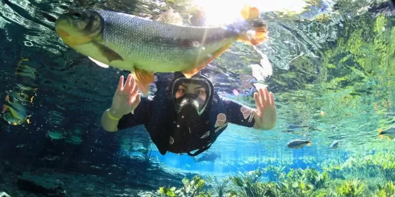 Flutuacao Aquario Natural Peixes Em Bonito Ms