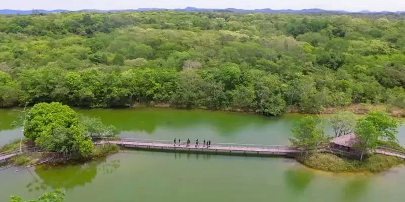 Flutuacao Aquario Natural Em Bonito Passarela