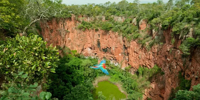Buraco Das Araras Passeio Em Bonito Ms