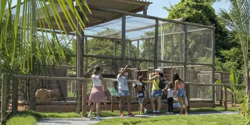 Bio Park Bonito Ms Grupo