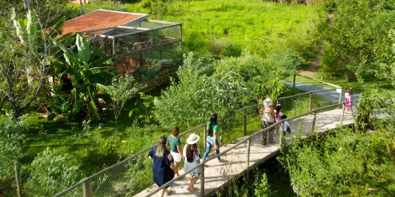 Bio Park Bonito Ms Grupo Visita